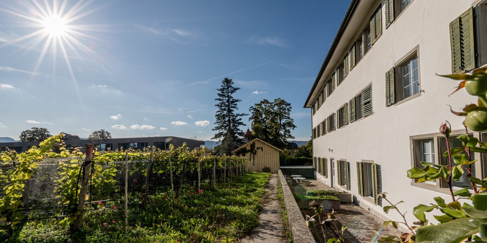 Schulgebäude mit Weinreben bei Sonnenschein