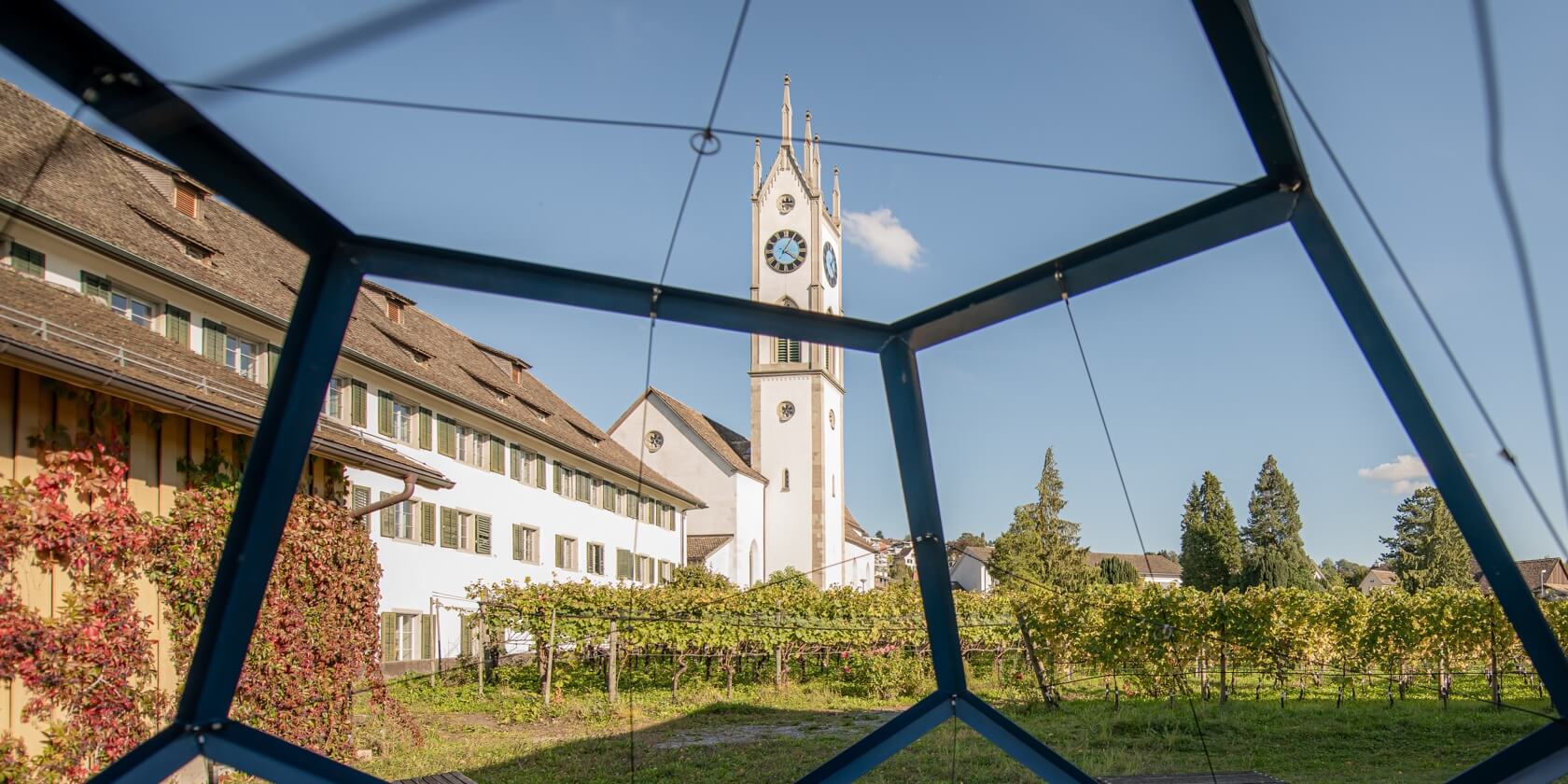 Blick durch Weinreben auf Kirche und Schule